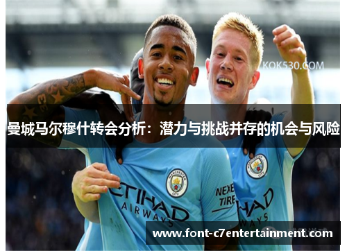 曼城马尔穆什转会分析：潜力与挑战并存的机会与风险