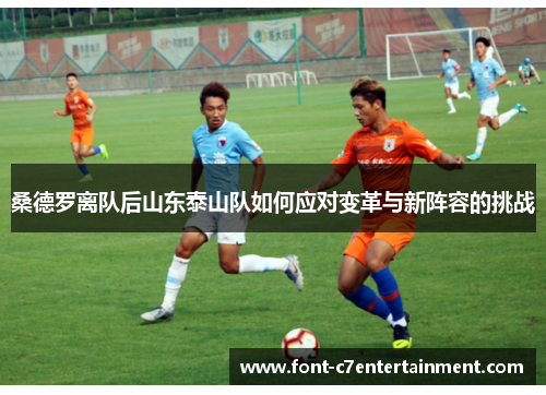 桑德罗离队后山东泰山队如何应对变革与新阵容的挑战