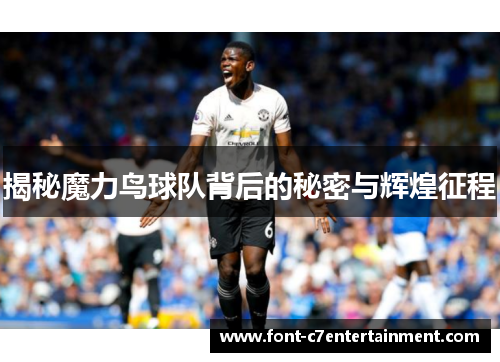 揭秘魔力鸟球队背后的秘密与辉煌征程
