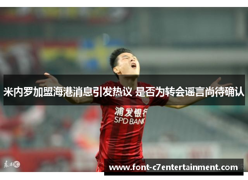 米内罗加盟海港消息引发热议 是否为转会谣言尚待确认