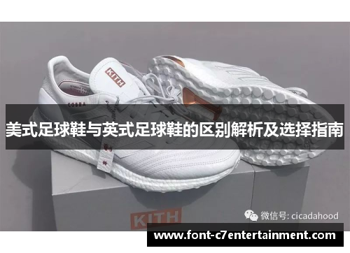 美式足球鞋与英式足球鞋的区别解析及选择指南