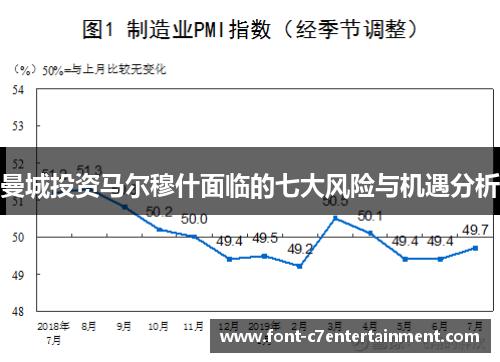 曼城投资马尔穆什面临的七大风险与机遇分析